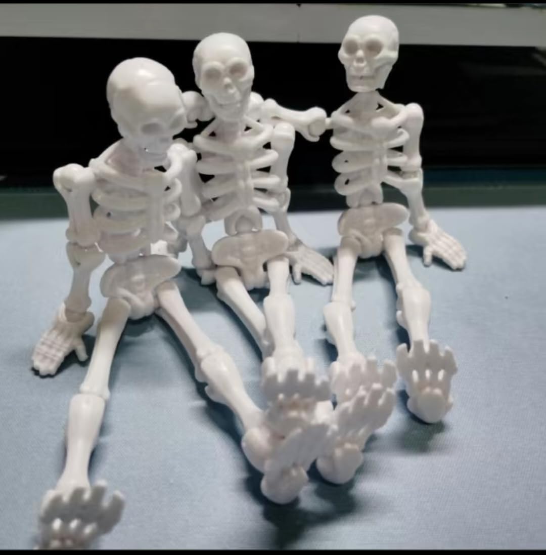 Dummy13 Skeleton Action Figure Full Joint Movable Assembly Toy Tricky Model Toy Give Friends Gift